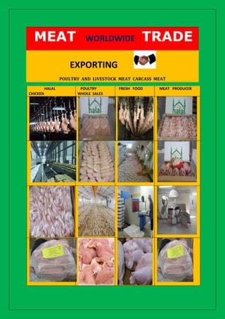 MEAT                     WORLDWIDE            TRADE
                     EXPORTING
                  POULTRY AND LIVESTOCK MEAT CARCASS MEAT

          HALAL          POULTRY       FRESH FOOD     MEAT PRODUCER
CHICKEN                 WHOLE SALES
 