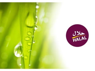 Halal design