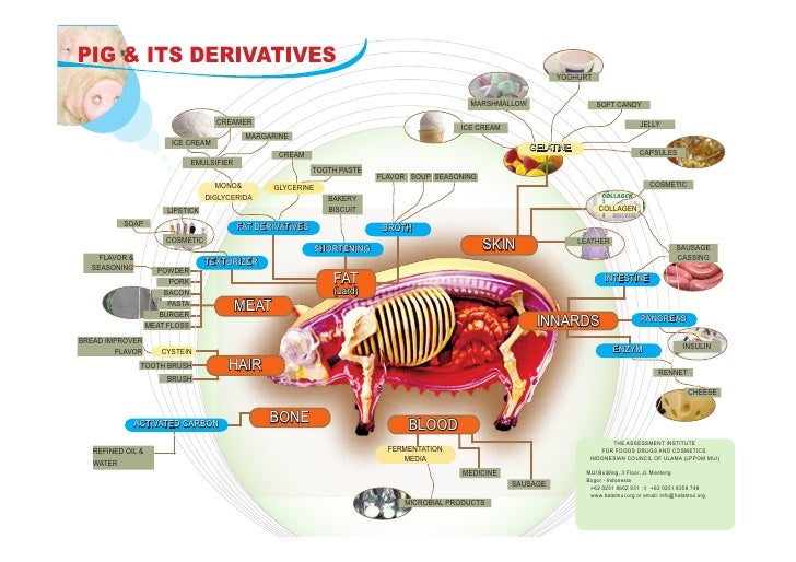 What Foods Contain Gelatin List What Foods Contain Gelatin List
