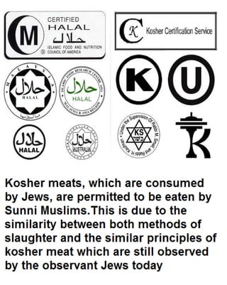 Halal food guide | PDF