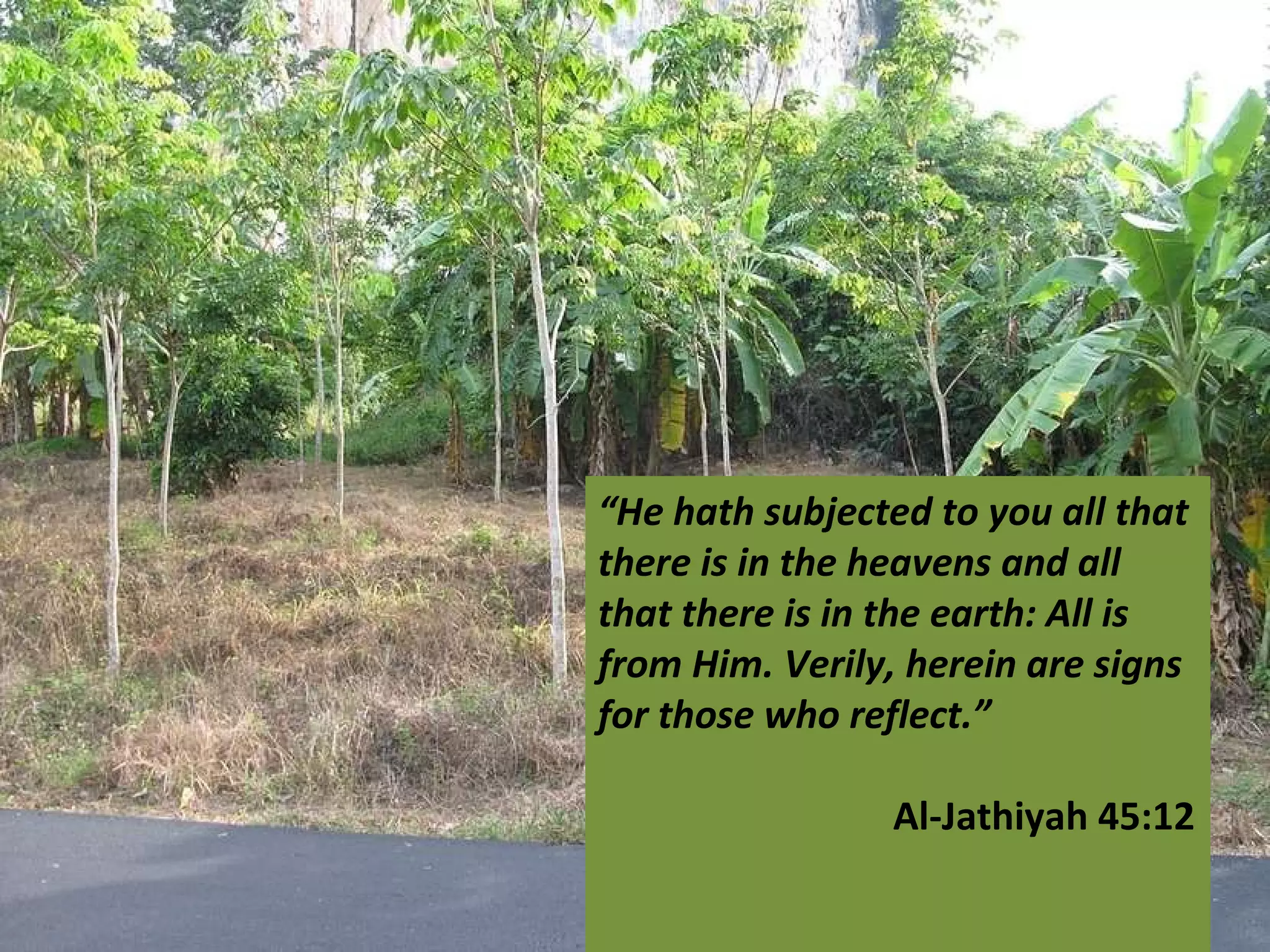 “ He hath subjected to you all that there is in the heavens and all that there is in the earth: All is from Him. Verily, herein are signs for those who reflect.”   Al-Jathiyah 45:12 