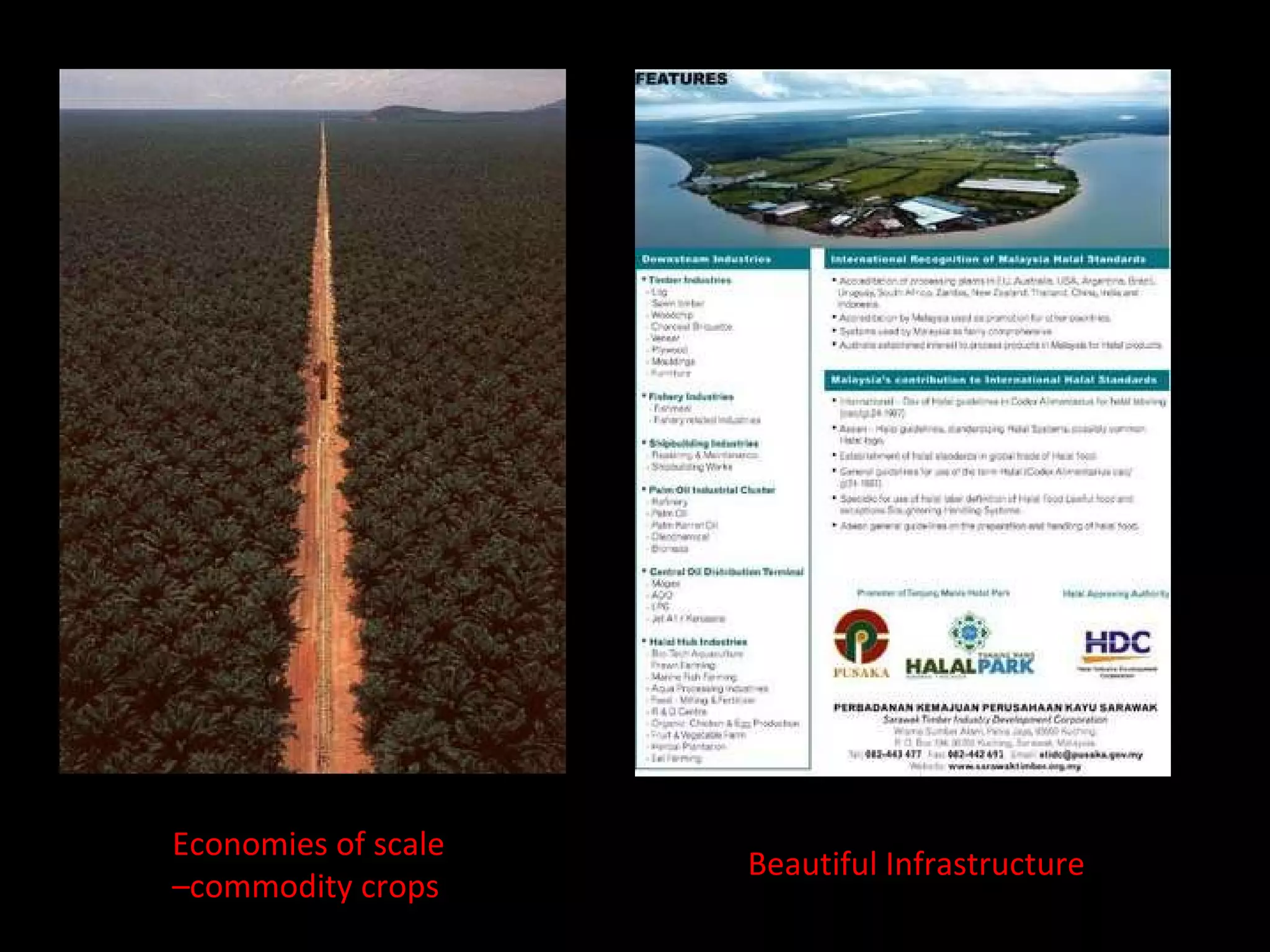 Economies of scale  – commodity crops Beautiful Infrastructure 