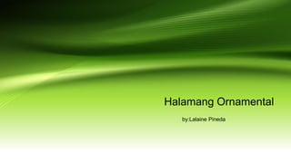 Halamang Ornamental
by:Lalaine Pineda
 
