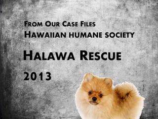FROM OUR CASE FILES
HAWAIIAN HUMANE SOCIETY
HALAWA RESCUE
2013
 