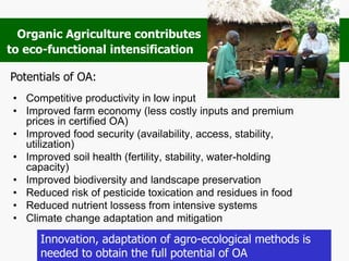 • Competitive productivity in low input
• Improved farm economy (less costly inputs and premium
prices in certified OA)
• Improved food security (availability, access, stability,
utilization)
• Improved soil health (fertility, stability, water-holding
capacity)
• Improved biodiversity and landscape preservation
• Reduced risk of pesticide toxication and residues in food
• Reduced nutrient lossess from intensive systems
• Climate change adaptation and mitigation
Organic Agriculture contributes
to eco-functional intensification
Potentials of OA:
Innovation, adaptation of agro-ecological methods is
needed to obtain the full potential of OA
 