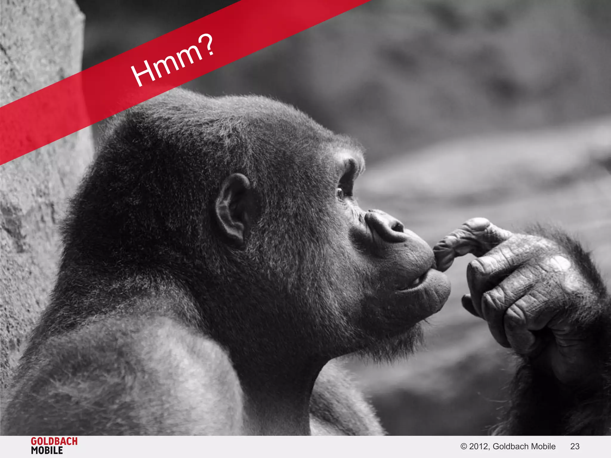 © 2012, Goldbach Mobile   23
 