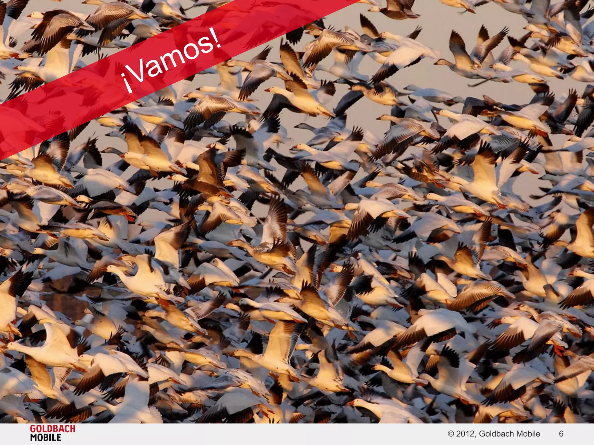 © 2012, Goldbach Mobile   6
 