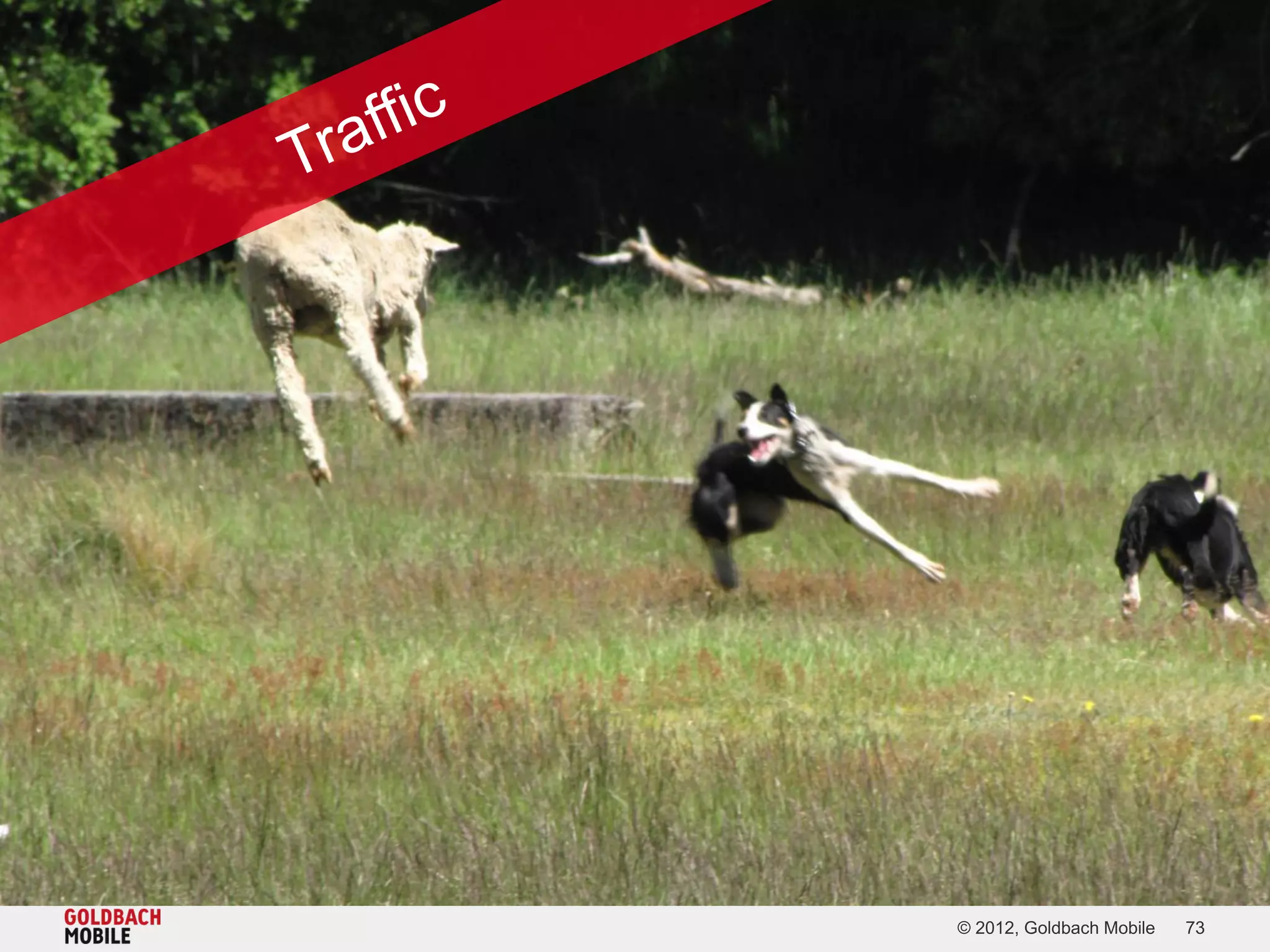 © 2012, Goldbach Mobile   73
 