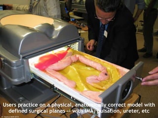 Users practice on a physical, anatomically correct model with defined surgical planes — with IMA, pulsation, ureter, etc ©  Haptica 2006-2010 
