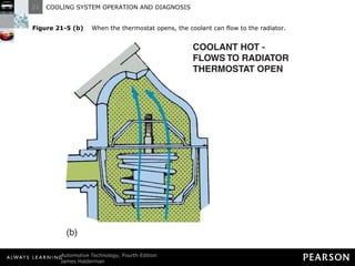 Figure 21-5 (b)   When the thermostat opens, the coolant can flow to the radiator. 