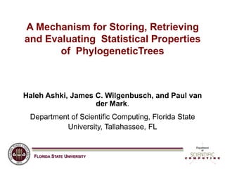 A Mechanism for Storing, Retrieving and Evaluating  Statistical Properties of  PhylogeneticTrees Haleh Ashki, James C. Wilgenbusch, and Paul van der Mark. Department of Scientific Computing, Florida State University, Tallahassee, FL 