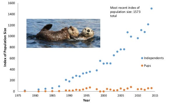 Population Dynamics and Foraging Ecology of Northern Sea Otters (Enhy…