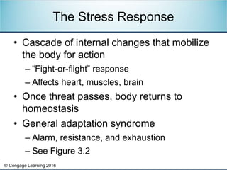 © Cengage Learning 2016
• Cascade of internal changes that mobilize
the body for action
– “Fight-or-flight” response
– Affects heart, muscles, brain
• Once threat passes, body returns to
homeostasis
• General adaptation syndrome
– Alarm, resistance, and exhaustion
– See Figure 3.2
The Stress Response
 