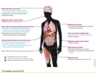 © Cengage Learning 2016
 