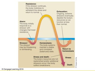 © Cengage Learning 2016
 