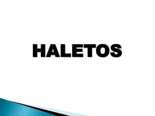 HALETOS 