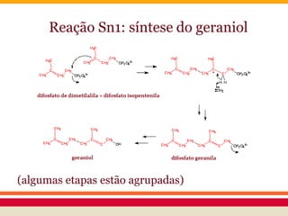 Reação Sn1: síntese do geraniol
(algumas etapas estão agrupadas)
 