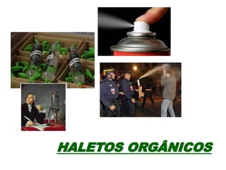HALETOS ORGÂNICOS
 