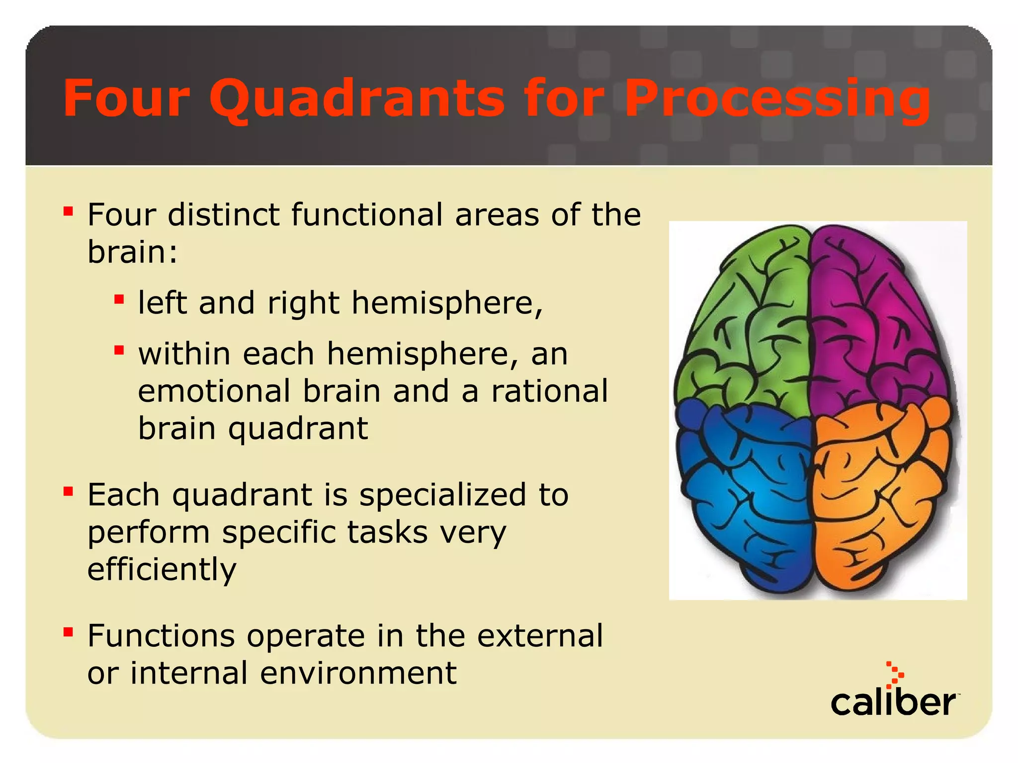 Four Quadrants for Processing
 Four distinct functional areas of the
brain:
 left and right hemisphere,
 within each hemisphere, an
emotional brain and a rational
brain quadrant
 Each quadrant is specialized to
perform specific tasks very
efficiently
 Functions operate in the external
or internal environment

 