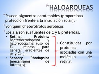 *
*Poseen pigmentos carotenoides (proporciona
protección frente a la irradiación solar).
*Son quimioheterótrofos aeróbicos
*Los a.a son sus fuentes de C y E preferidas.
• Retinal Proteins:
Bacteriorrodopsina y
halorrodopsina (uso de
E. luminosa para
generar gradientes de
p+ y Cl- ).
• Sensory Rhodopsins
(mecanismos de
fototaxis)
• Constituidas por
proteínas
asociadas con una
molécula de
retinal
 