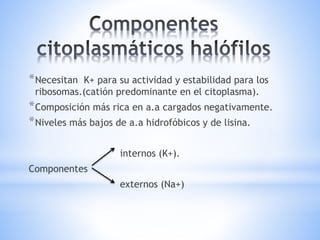 *Necesitan K+ para su actividad y estabilidad para los
ribosomas.(catión predominante en el citoplasma).
*Composición más rica en a.a cargados negativamente.
*Niveles más bajos de a.a hidrofóbicos y de lisina.
internos (K+).
Componentes
externos (Na+)
 