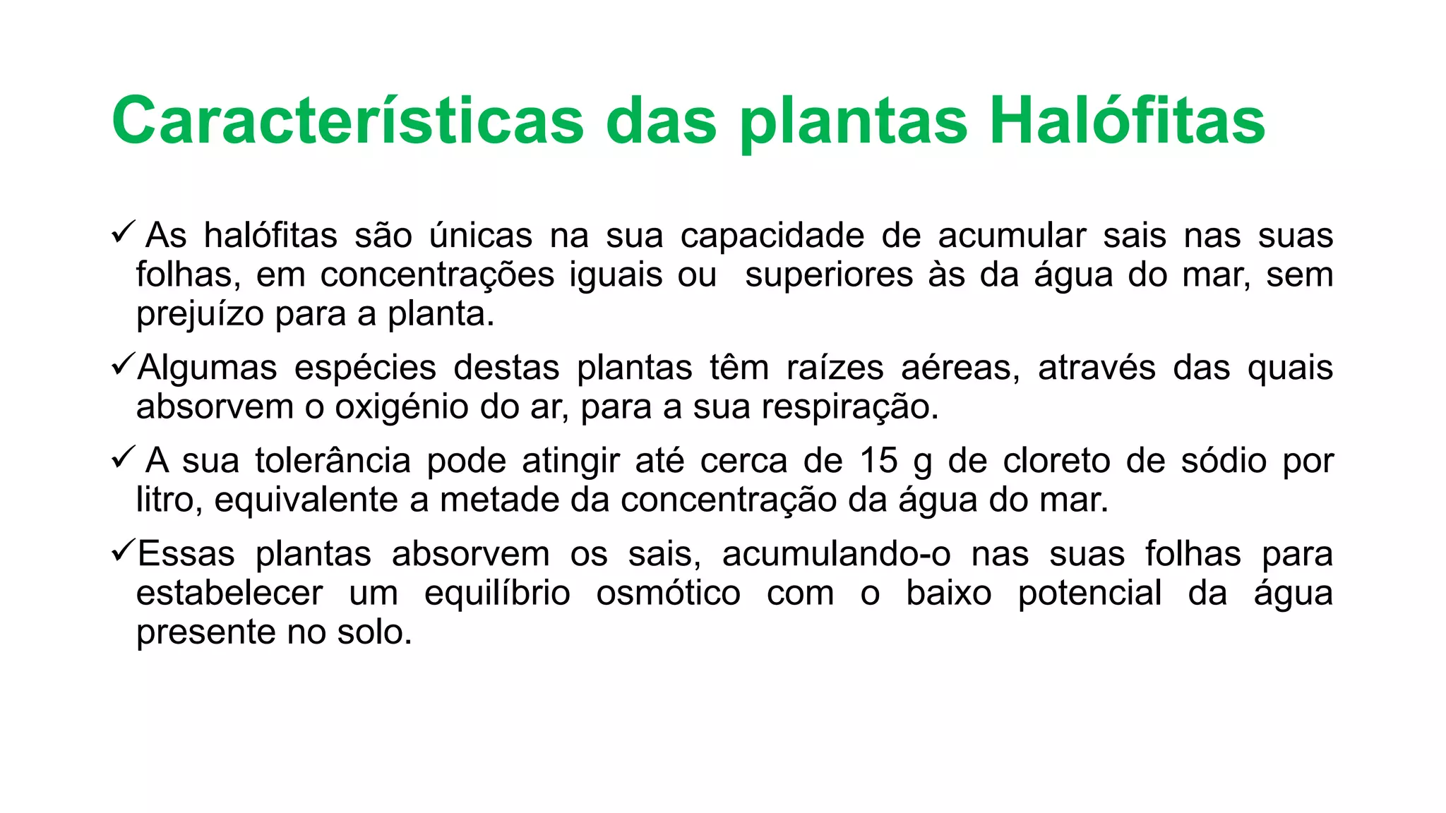 Plantas Halófitas: Salicórnias - Madalena Figueiredo e Maria Inês ...
