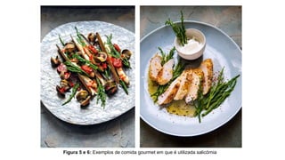 Figura 5 e 6: Exemplos de comida gourmet em que é utilizada salicórnia
 