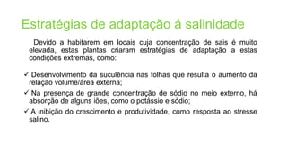 Devido a habitarem em locais cuja concentração de sais é muito
elevada, estas plantas criaram estratégias de adaptação a estas
condições extremas, como:
 Desenvolvimento da suculência nas folhas que resulta o aumento da
relação volume/área externa;
 Na presença de grande concentração de sódio no meio externo, há
absorção de alguns iões, como o potássio e sódio;
 A inibição do crescimento e produtividade, como resposta ao stresse
salino.
Estratégias de adaptação á salinidade
 