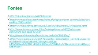 Fontes
http://pt.wikipedia.org/wiki/Salicornia
http://www.saldosol.net/home/index.php?option=com_content&view=arti
cle&id=15&Itemid=2
http://www.algebrica.pt/Arquivo/Clientes/salicornia/1/1/indexexp.html
http://www.innovar.gob.ar/blog/in-blog/innovar-2007/salicornia-
agricultura-con-agua-de-mar
http://www.dicionarioinformal.com.br/hal%C3%B3fita/
https://www.google.pt/search?q=plantas+halofitas&es_sm=93&source=ln
ms&tbm=isch&sa=X&ei=FTVZU4fnK-nX0QX-
k4HoCQ&ved=0CAYQ_AUoATgK&biw=1280&bih=923#q=salicornias&tbm=is
ch&imgdii=_
15
 