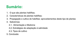 Sumário:
1. O que são plantas halófitas;
2. Características de plantas halófitas;
3. Propagação e cultivo de halofitas: aproveitamentos deste tipo de plantas
4. Salicórnias
4.1. Alimentação e Medicina
4.2. Estratégias de adaptação á salinidade
4.3. Tipos de cultivo
5. Conclusão
 