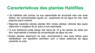  As halófitas são únicas na sua capacidade de acumular sais nas suas
folhas, em concentrações iguais ou superiores às da água do mar, sem
prejuízo para a planta.
Algumas espécies destas plantas têm raízes aéreas, através das quais
absorvem o oxigénio do ar, para a sua respiração.
 A sua tolerância pode atingir até cerca de 15 g de cloreto de sódio por
litro, equivalente a metade da concentração da água do mar.
Essas plantas absorvem os sais, acumulando-o nas suas folhas para
estabelecer um equilíbrio osmótico com o baixo potencial da água
presente no solo.
Características das plantas Halófitas
 