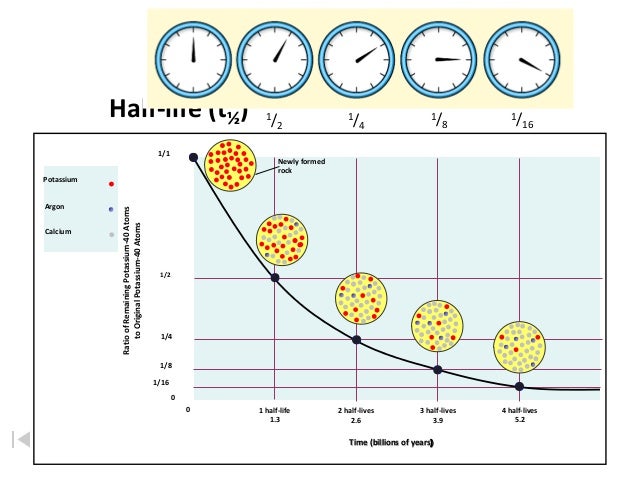 free adult single dating