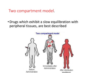Two compartment model.
•Drugs which exhibit a slow equilibration with
peripheral tissues, are best described
 