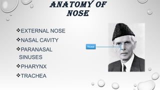 THE EXTERNAL
NOSE
THE EXTERNAL NOSE IS TRIANGULAR-SHAPEDPROJECTION IN
THE CENTEROF THE FACE, CONSISTS OF OSTEO-CARTILAGINO...