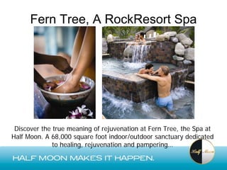 Fern Tree, A RockResort Spa




 Discover the true meaning of rejuvenation at Fern Tree, the Spa at
Half Moon. A 68,000 square foot indoor/outdoor sanctuary dedicated
              to healing, rejuvenation and pampering…
 