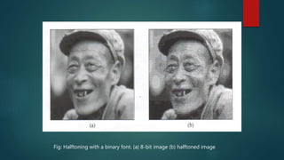 Fig: Halftoning with a binary font. (a) 8-bit image (b) halftoned image
 