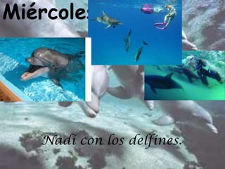 Miércoles




   Nadí con los delfines.
 