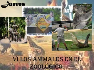 Jueves




  Vi los animales en el
        zoológico.
 