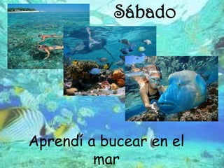 Sábado




Aprendí a bucear en el
         mar
 