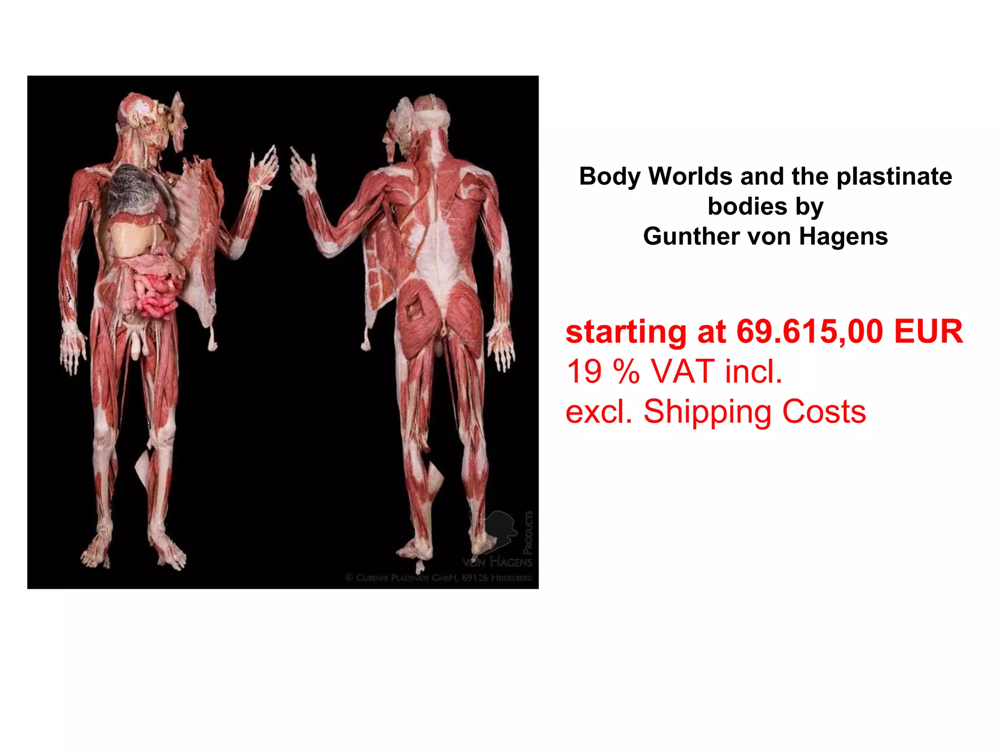 starting at 69.615,00 EUR 19 % VAT incl. excl. Shipping Costs   Body Worlds and the plastinate bodies by Gunther von Hagens Sites:   1   Show  1  to  8  (of in total  8  products) 
