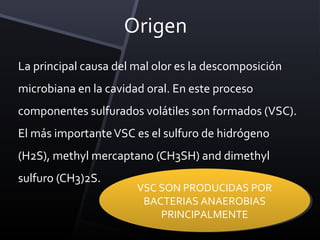 Origen
La principal causa del mal olor es la descomposición
microbiana en la cavidad oral. En este proceso
componentes sulfurados volátiles son formados (VSC).
El más importante VSC es el sulfuro de hidrógeno
(H2S), methyl mercaptano (CH3SH) and dimethyl
sulfuro (CH3)2S.
                       VSC SON PRODUCIDAS POR
                       VSC SON PRODUCIDAS POR
                        BACTERIAS ANAEROBIAS
                        BACTERIAS ANAEROBIAS
                           PRINCIPALMENTE
                            PRINCIPALMENTE
 