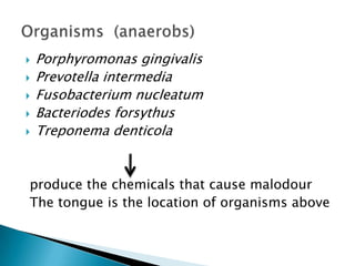  Porphyromonas gingivalis
 Prevotella intermedia
 Fusobacterium nucleatum
 Bacteriodes forsythus
 Treponema denticola
produce the chemicals that cause malodour
The tongue is the location of organisms above
 