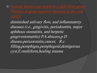  Several factors can result in a shift from gram-
Positive to gram negative bacteria in the oral
cavity:
diminished salivary flow, and inflammatory
diseases (i.e., gingivitis, periodontitis, major
aphthous stomatitis, and herpetic
gingivostomatitis) P.A abscees,p.D
disease,pericoronitis,cancer, R.c
filling,pemphigus,pemphegoid,dentigerous
cyst,E.multiform,healing trauma
 