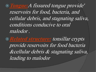 Tongue:A fissured tongue provide'
reservoirs for food, bacteria, and
cellular debris, and stagnating saliva,
conditions conducive to oral
malodor .
Related structure: tonsillar crypts
provide reservoirs for food bacteria
&cellular debris & stagnating saliva,
leading to malodor
 
