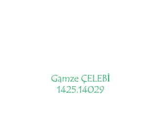 Gamze ÇELEBİ 
1425.14029 
