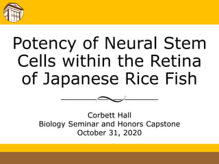 Potency of Neural Stem
Cells within the Retina
of Japanese Rice Fish
Corbett Hall
Biology Seminar and Honors Capstone
October 31, 2020
 