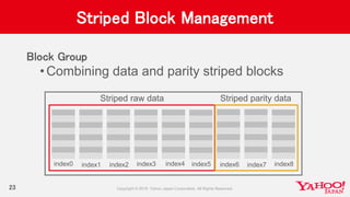 Striped Block Management
Block Group
•Combining data and parity striped blocks
23
Striped raw data Striped parity data
index0 index1 index2 index3 index4 index5 index6 index7 index8
 