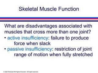 Slack Muscles Comprehensive Overview of Human Skeletal Muscle Biomechanics and ...
