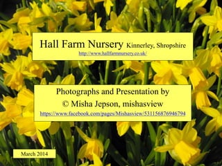 Hall Farm Nursery Kinnerley, Shropshire
http://www.hallfarmnursery.co.uk/
Photographs and Presentation by
© Misha Jepson, mishasview
https://www.facebook.com/pages/Mishasview/531156876946794
March 2014
 