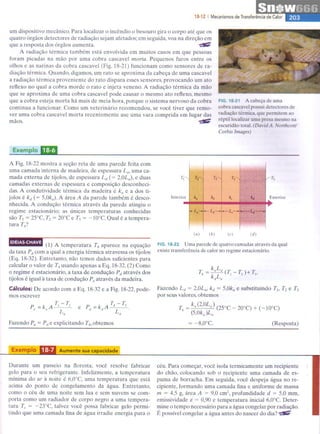 Halliday   8ª ed - vol.2